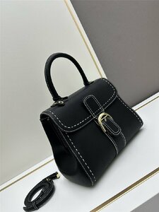 DELVAUX☆Brillant Mini Surpique ステッチミニバッグ SurpiqueRodeo Calf ブラック