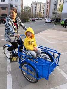 特売 折りたたみ式三輪自転車 高齢の三輪車 最大負荷150kg 快適な自転車 貨物バスケット 大容量 後カゴ付 大人用 三輪車