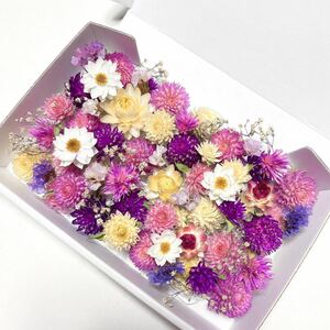 送料込■ 千日紅 スターチス かすみ草 花かんざし ドライフラワー ハンドメイド ハーバリウム 花材 ガーランド リース ヘリクリサム 貝細工