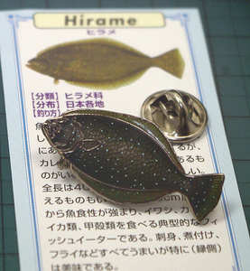 ◆ピンズ 沖釣魚 ヒラメ(平目) 七宝メタル 日本製