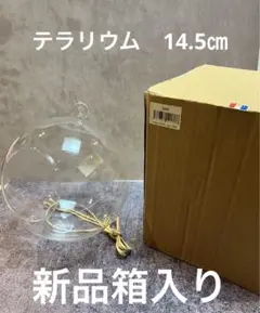 テラリウム　ガラスボール　ガラス鉢