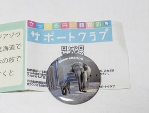 さっぽろ円山動物園　現地ガチャ　象