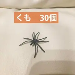 30個 ハロウィン いたずら 偽 スパイダー 蜘蛛 おもちゃ まるでリアル虫