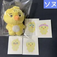 the boyz ソヌ　ぬいぐるみ　10cm 新品　マスター