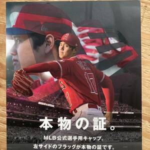 【非売品】 レア NEWERA MLB メジャーリーグ ベースボール 大谷翔平 販促品 店舗ディスプレイ 什器 プレート アクリル ノベルティ 野球 LA