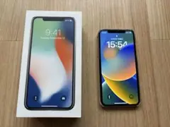 iPhone X 256Gbyte