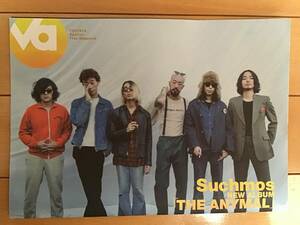 Suchmos(サチモス) ★new album「THE ANYMAL」★新聞チラシ～ポスター(裏)★四つ折りタイプ(最小B5サイズ) ★新品・非売品