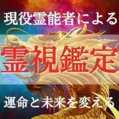 現役霊能者による霊視鑑定/金運・恋愛・復縁・子宝・仕事・占い【初回限定価格】