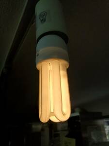 M862-1　未使用品　E26　11W　電球形蛍光灯　電球　蛍光灯　照明　黄色　イエロー　カラー　ライト　20個セット　店舗/業務　 