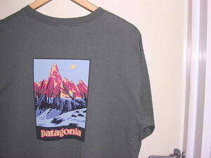 90s 00s USA製 パタゴニア patagonia beneficial T