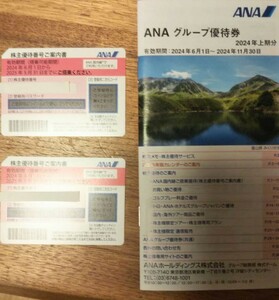 ANA 株主優待券2枚 2024年6月1日から2025年5月31日まで グループ優待券