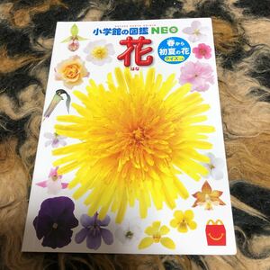 小学館の図鑑NEO 花　マクドナルド