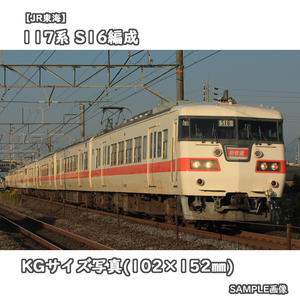 ◎KG写真【JR東海】117系電車 S16編成 ■東海色 ■新快速 □撮影:東海道本線 2012/10/15［KG0712］