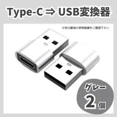 USB Type-C 変換 タイプC 変換アダプタ iPhone 2個 グレー