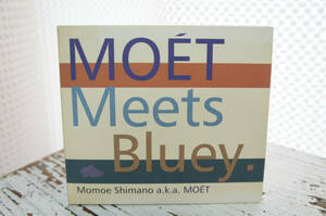 嶋野 百恵「MOET Meets Bluey.」