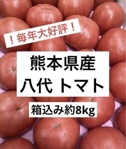 ！訳あり激安！ 熊本県産 トマト 約8kg程度 ②