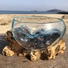 流木ガラスオブジェB18B 花瓶 金魚鉢 ガーデニング テラリウム 観賞魚 容器