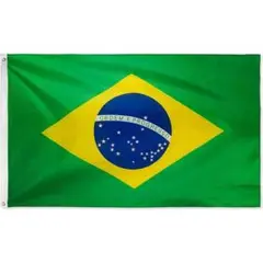 ブラジル 国旗 フラッグ 応援 送料無料 150cm x 90cm 新品