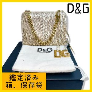 D&G 財布　コインケース　パイソン　ヘビ皮　チェーン付き　箱付き