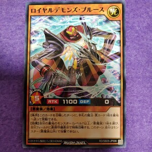 遊戯王 ラッシュデュエル ロイヤルデモンズ・ブルース ノーマル RD/SBD5-JP006