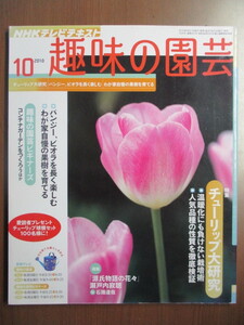 趣味の園芸　2010年10月　チューリップ大研究　パンジー、ビオラを長く楽しむ　コンテナガーデンをつくろう　「源氏物語の花々」瀬戸内寂聴