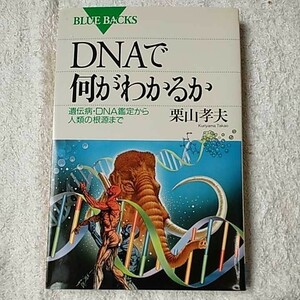 DNAで何がわかるか 遺伝病・DNA鑑定から人類の根源まで (ブルーバックス) 栗山 孝夫 9784062570947