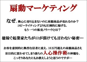 ■扇動マーケティング■MP4/MP3/PDF■フルセット■人の心を魅了する禁断の文章述語■コピーライティング■