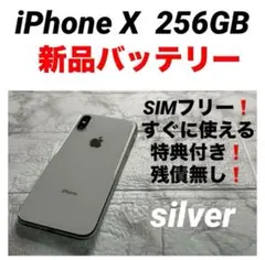 53 iPhone X 256GB 新品バッテリー　SIMフリー