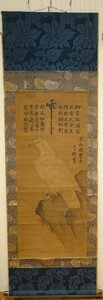 rarebookkyoto　F9B-737　李朝絵画・作者不詳・徳川家伝来　　　白鷹・絹本設色　箱付き　1700年頃作　京都古物