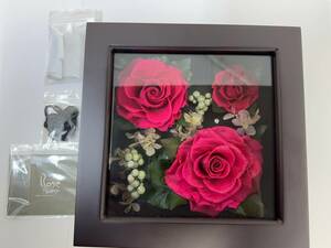 【KM116】美品 ローズギャラリー Rose Gallery プリザーブドフラワーディスプレイ バラ 薔薇 赤　箱付き　部品付き　小物　プレゼント　