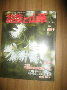 盆栽と山草 1979年 盛夏号 高山植物 石つき草物盆栽