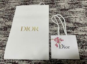 クリスチャンディオール ショップ袋 紙袋 Dior ディオール ショッピングバッグ 2枚セット