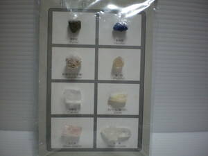 鉱物８種 MINERALS SPECIMENS