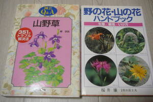 ●園芸Q&A山野草/野の花・山の花ハンドブック　古本