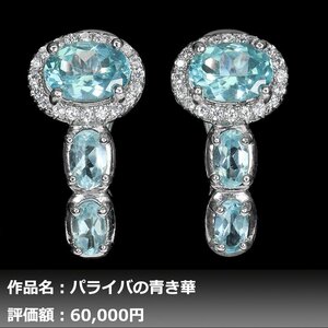 【送料無料】イケゾエガレ｜4.00ct 超IF等級 天然アパタイト ダイヤモンド K14WG仕上ピアス｜作家モノ｜本物保証｜NGL鑑別対応