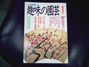 NHK　趣味の園芸　★平成３年１月　上