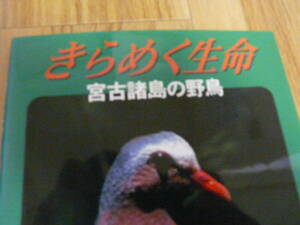 野鳥の本、宮子諸島の野鳥、ニライ社