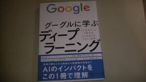 グーグルに学ぶディープラーニング　AIをこの一冊で理解　2017年発行　送料無料