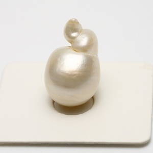 南洋白蝶真珠パールルース　21×13mm　ホワイトカラー