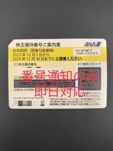 【即日対応】ANA株主優待　番号通知のみ
