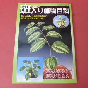 YN5-240426☆斑入り植物百科　　別冊趣味の山野草