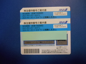 送料無料（普通郵便） ANA 株主優待券 2枚 2024/5/31まで