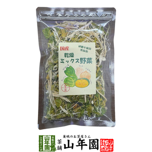 国産100％ 乾燥野菜ミックス 70g