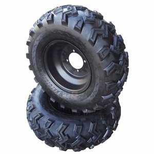 タイヤ ホイール 10インチ 左右 2本セット 22×8.00-10 ビッグサイズ オフロード ATV 四輪 バギー