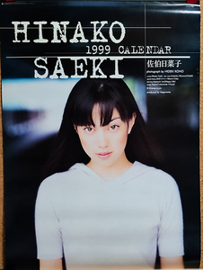 送料無料即決！佐伯日菜子 1999年 カレンダー B2サイズ、７枚綴り。未使用品。ハゴロモ TRY-X