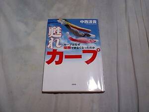 【古本-カ】(広島カープ)カープはなぜ優勝できなくなったのか