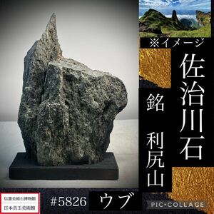 【信濃美術石博物館】水石 盆栽 佐治川石 ウブ 銘 『利尻山』 横12×高18.5(cm) 960g骨董盆石古美術鑑賞石観賞石太湖石中国古玩 5826