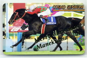 ★まねき馬 メリクリSP 846番 コスモサンビーム スペシャルカード 開封 写真 画像 競馬カード 即決