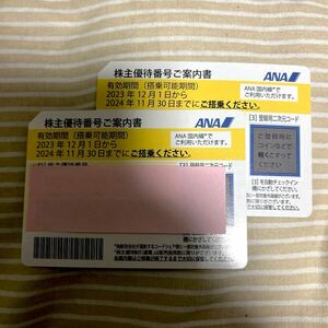 【送料無料】ANA 全日空　株主優待券2枚 2024.11.30迄