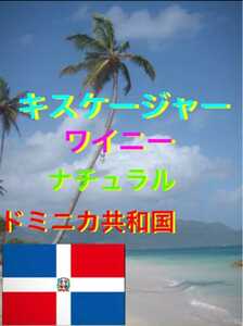 ドミニカ　キスケージャ　ワイニー400gコーヒー生豆！簡単なハンドピック済み！